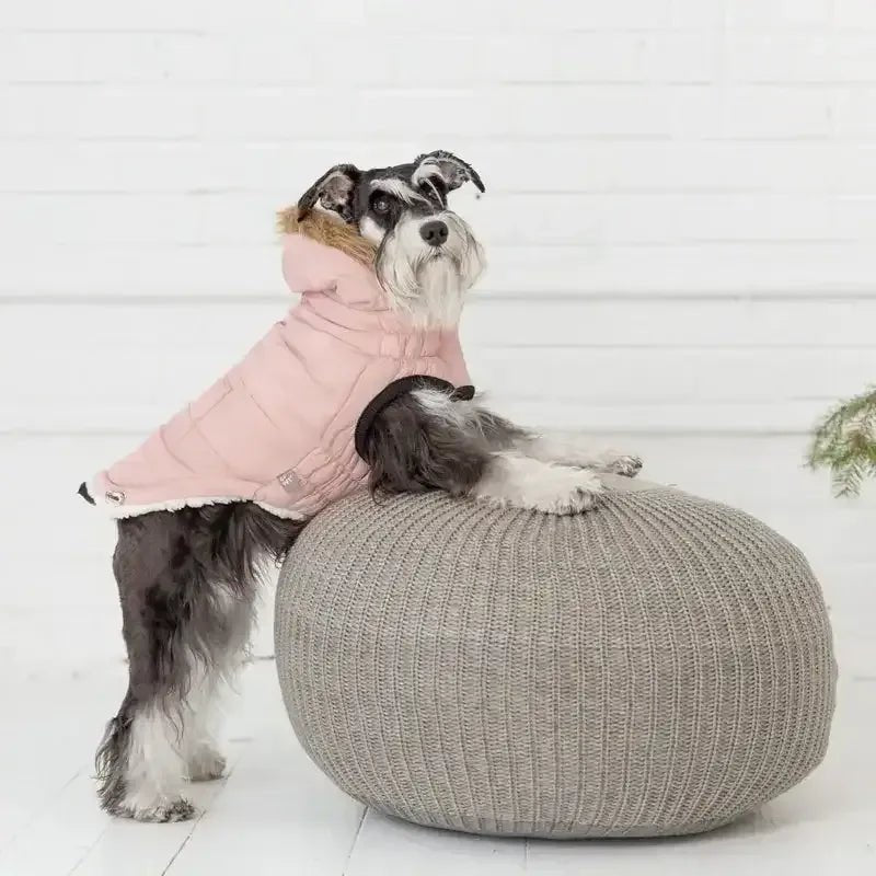 GF Pet Urban Parka Winter Dog Coat - Talis Us