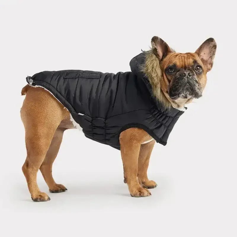 GF Pet Urban Parka Winter Dog Coat - Talis Us