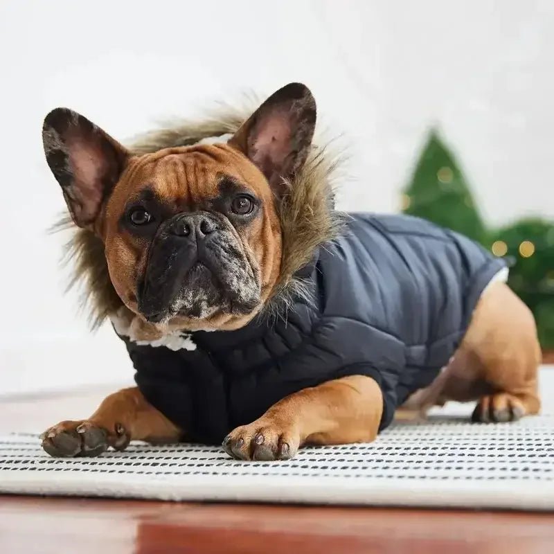 GF Pet Urban Parka Winter Dog Coat - Talis Us