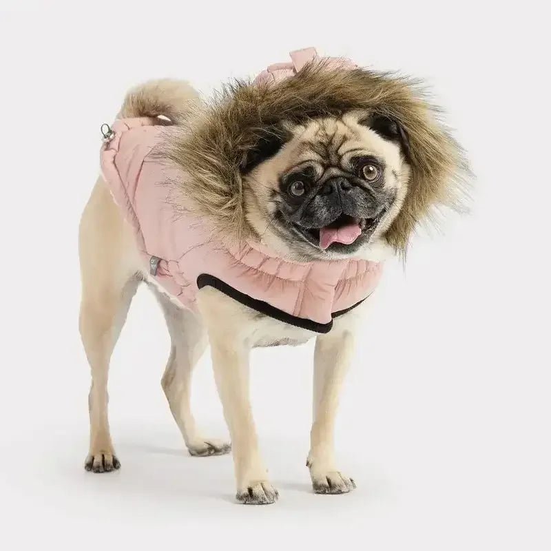 GF Pet Urban Parka Winter Dog Coat - Talis Us