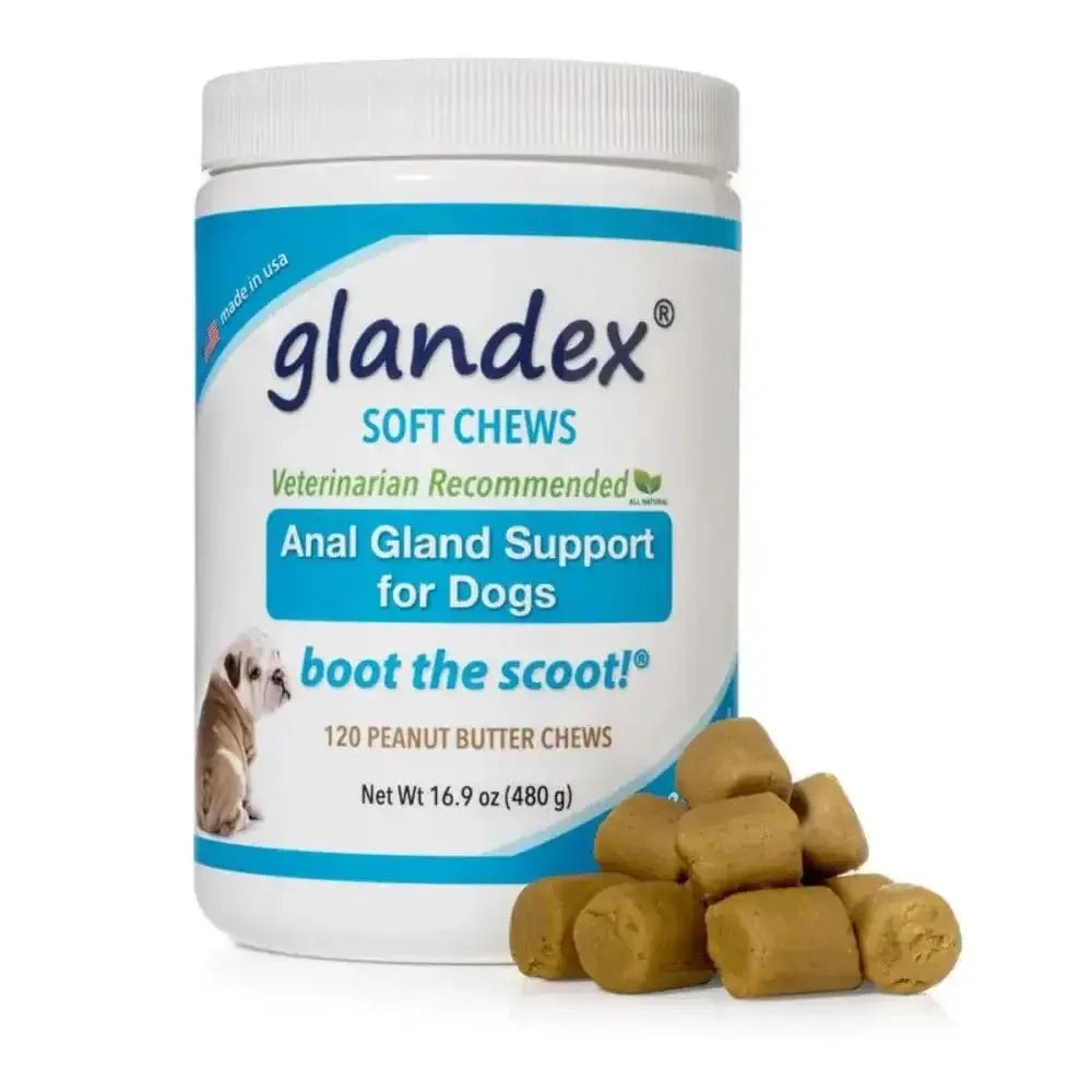 Glandex Anal Gland Soft Chew Peanut Butter - Talis Us