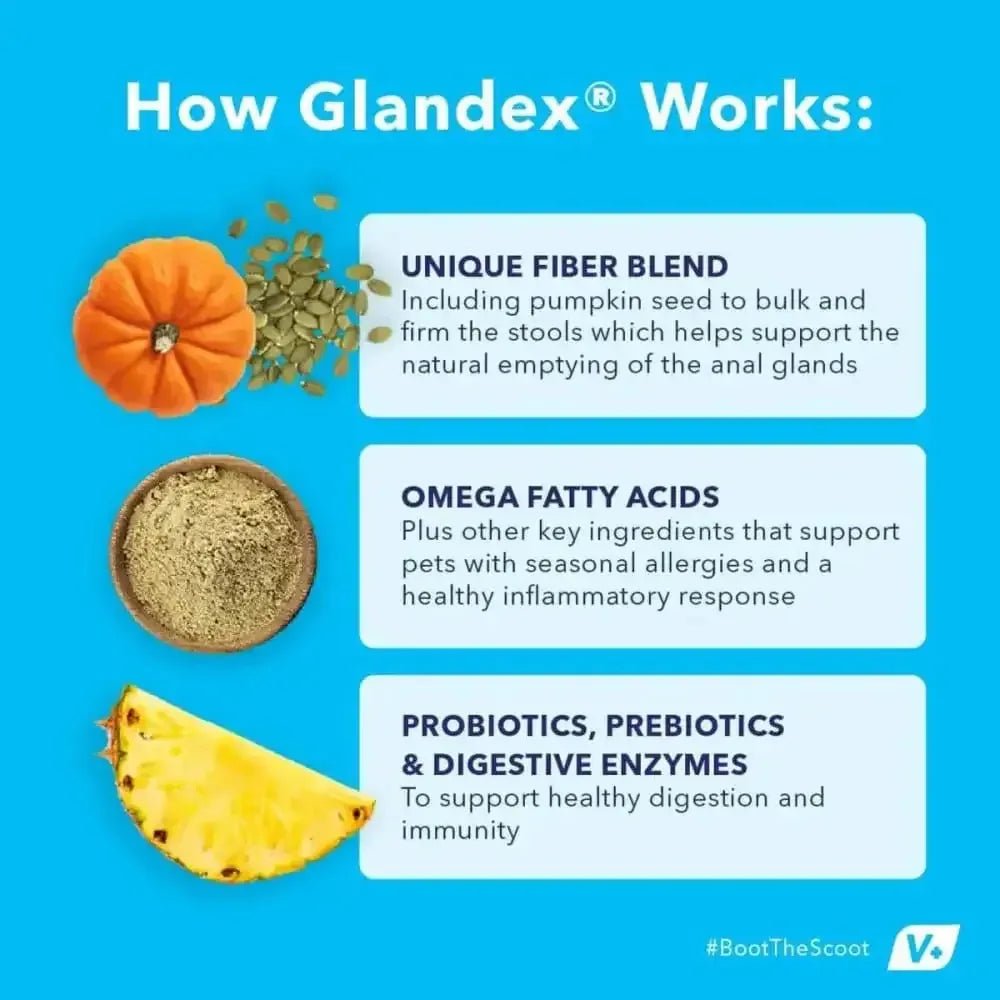 Glandex Anal Gland Soft Chew Peanut Butter - Talis Us