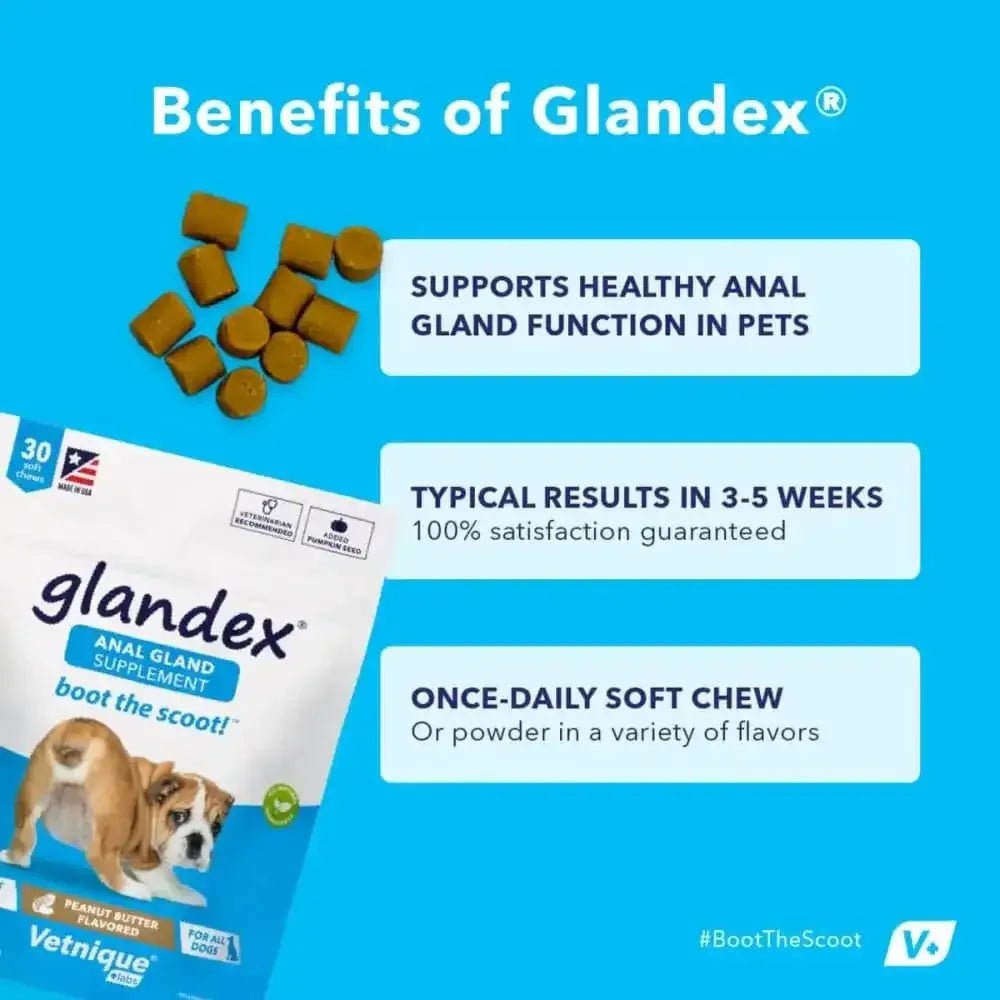 Glandex Anal Gland Soft Chew Peanut Butter - Talis Us