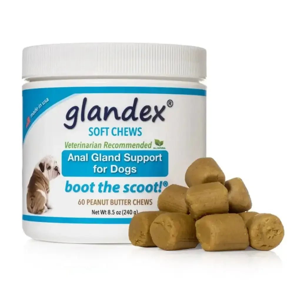 Glandex Anal Gland Soft Chew Peanut Butter - Talis Us
