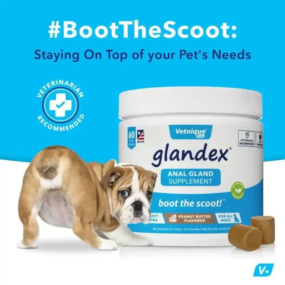 Glandex Anal Gland Soft Chew Peanut Butter - Talis Us