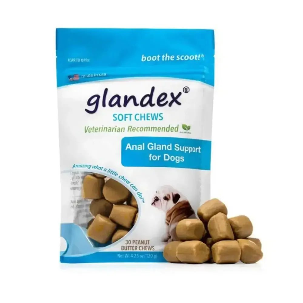 Glandex Anal Gland Soft Chew Peanut Butter - Talis Us
