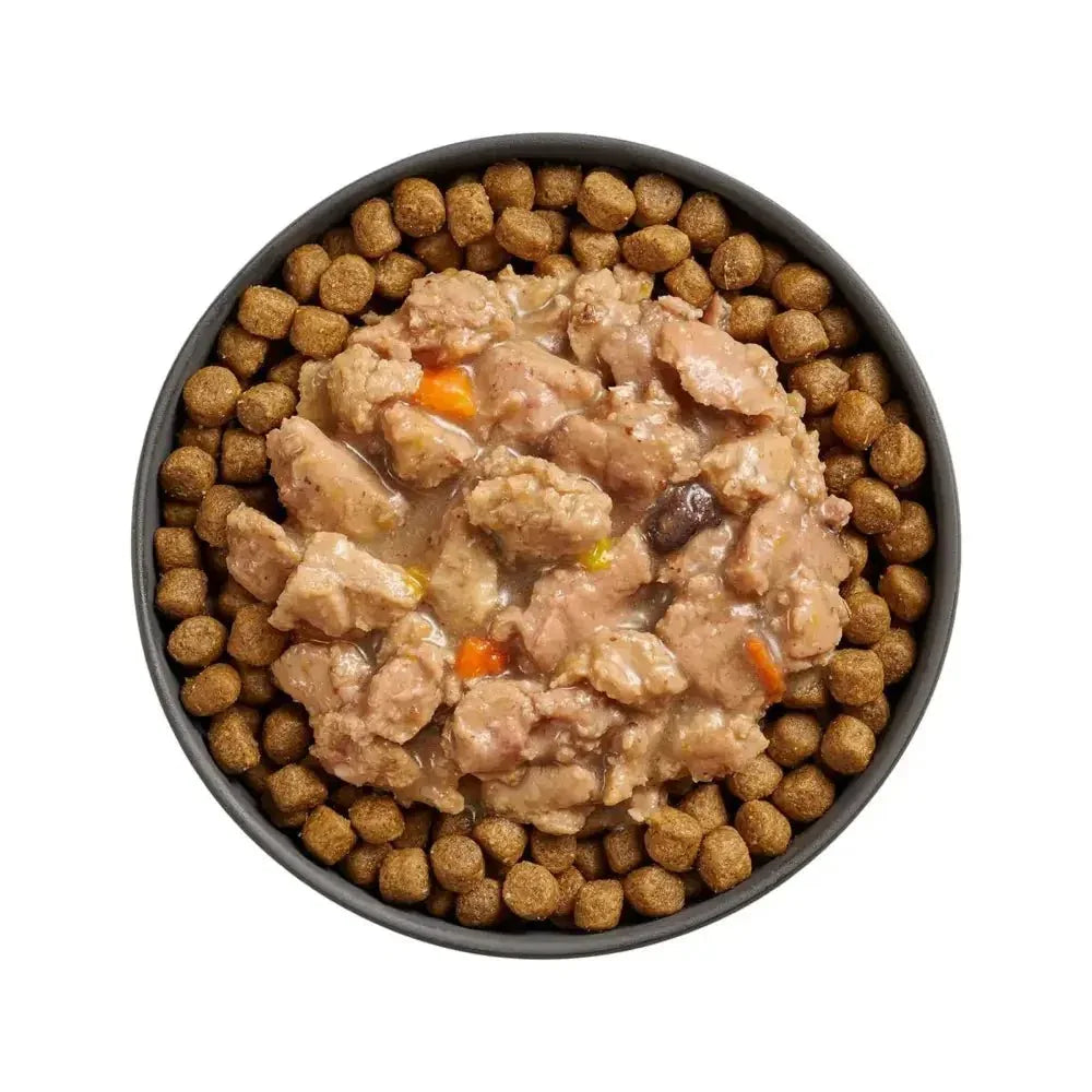 Go! Solutions Booster Immune Health Minced Chicken & Salmon with Gravy Wet Cat Food 24ea/2.5 oz - Talis Us
