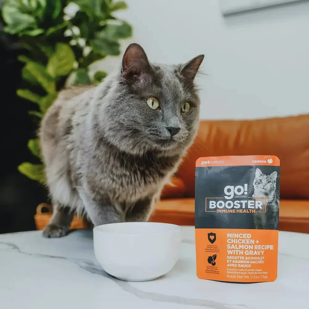 Go! Solutions Booster Immune Health Minced Chicken & Salmon with Gravy Wet Cat Food 24ea/2.5 oz - Talis Us
