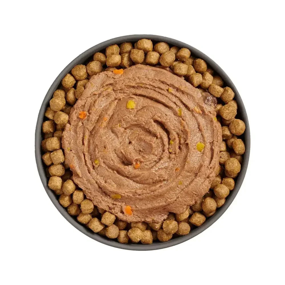 Go! Solutions Booster Immune Health Tuna Pate Wet Cat Food - Talis Us