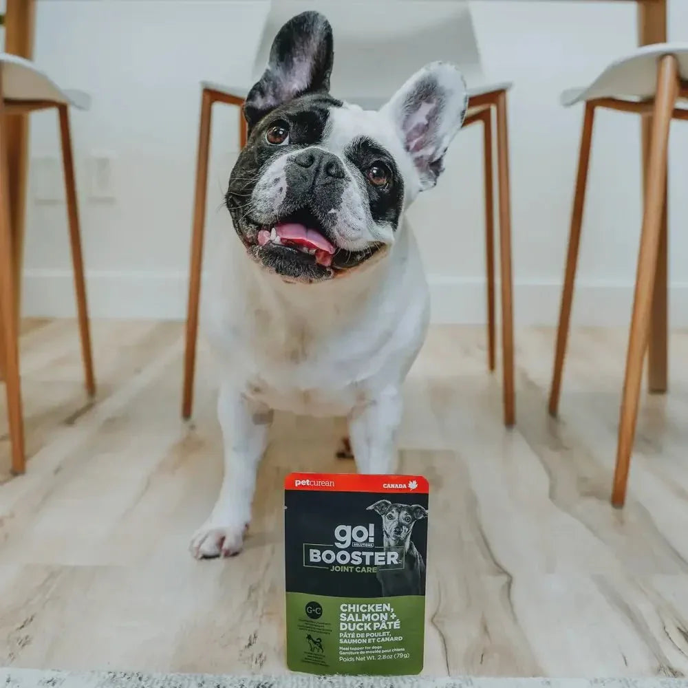 Go! Solutions Booster Joint Care Chicken, Salmon & Duck Pate Wet Dog Food 24ea/2.8 oz - Talis Us