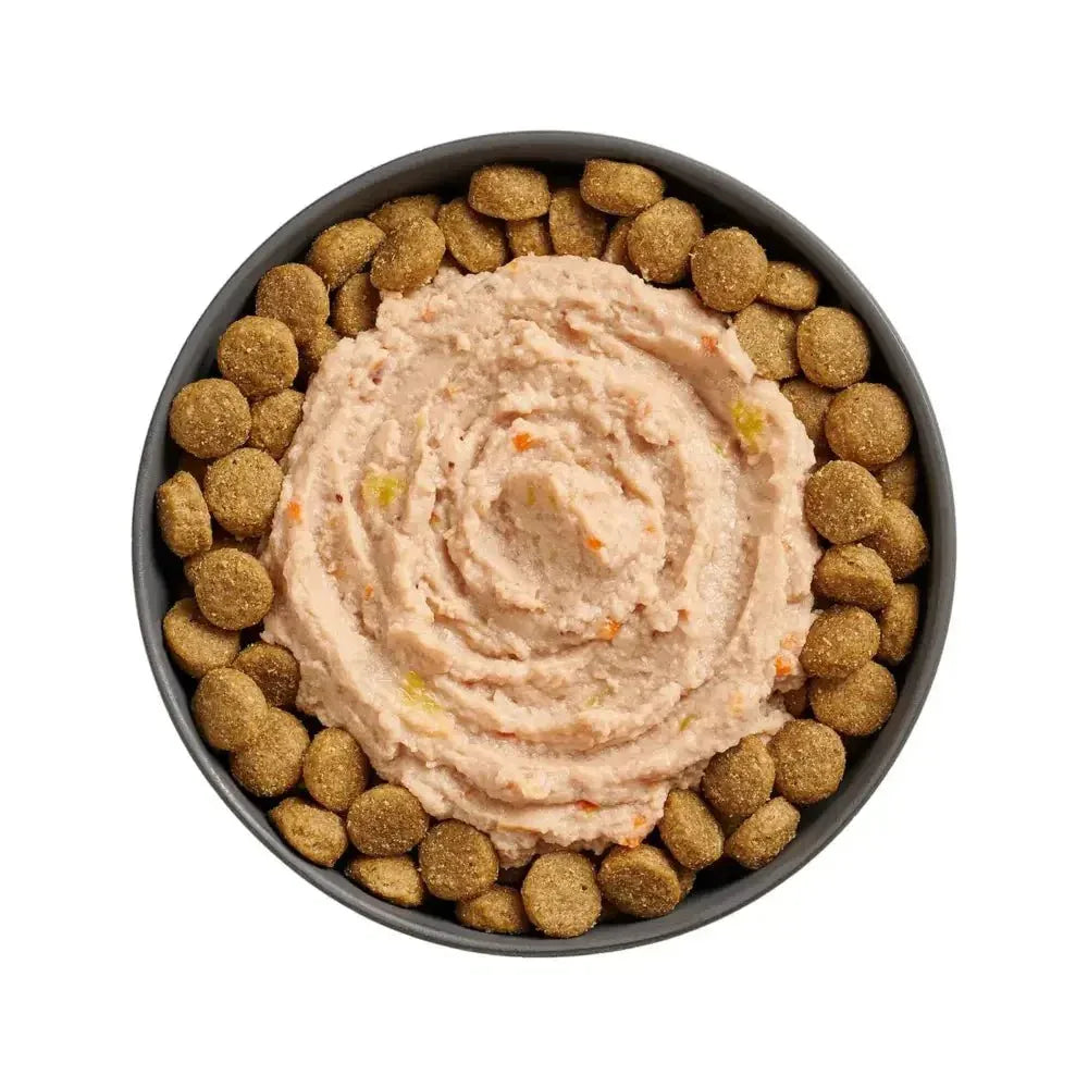Go! Solutions Booster Joint Care Chicken, Salmon & Duck Pate Wet Dog Food 24ea/2.8 oz - Talis Us