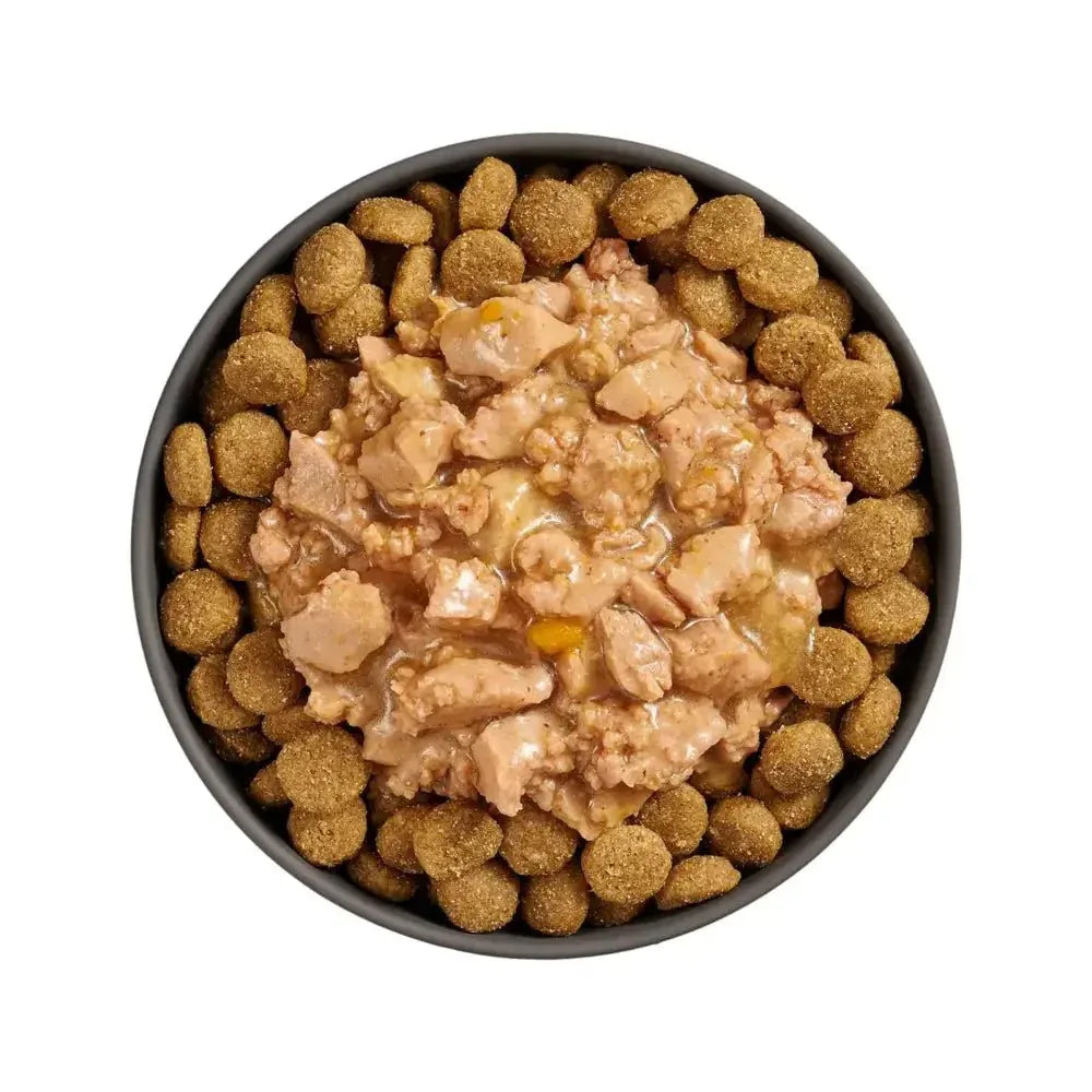 Go! Solutions Booster Joint Care Minced Chicken with Gravy Wet Dog Food 24ea/2.8 oz - Talis Us