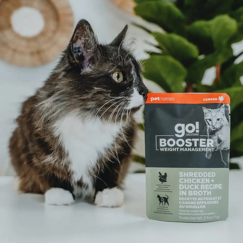 Go! Solutions Booster Weight Management Shredded Chicken & Duck in Broth Wet Cat Food 24ea/2.5 oz - Talis Us