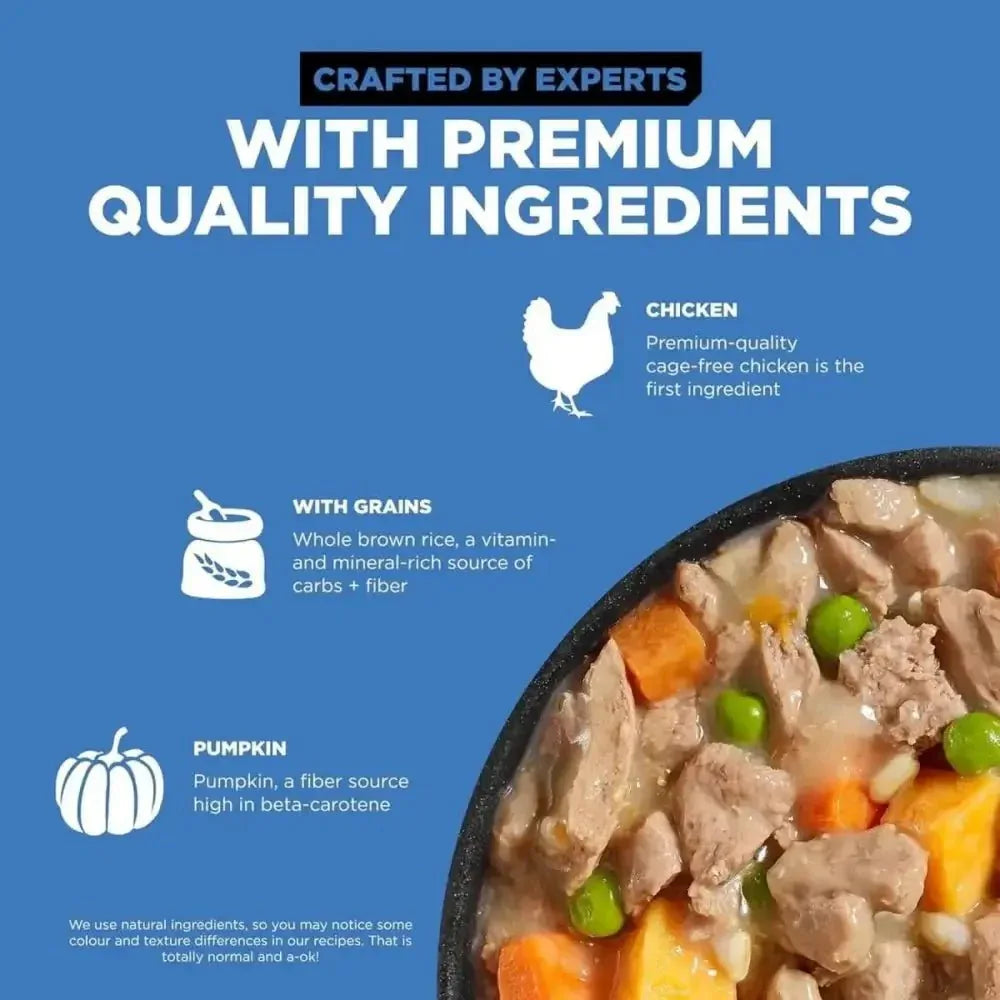 Go! Solutions Skin + Coat Care Shredded Chicken Dog Food 12ea/12.5 oz - Talis Us