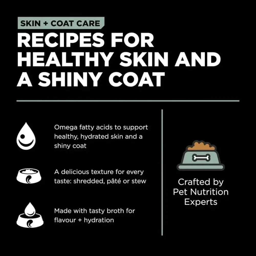Go! Solutions Skin + Coat Care Turkey & Salmon Pate Dog Food 12ea/12.5 oz - Talis Us