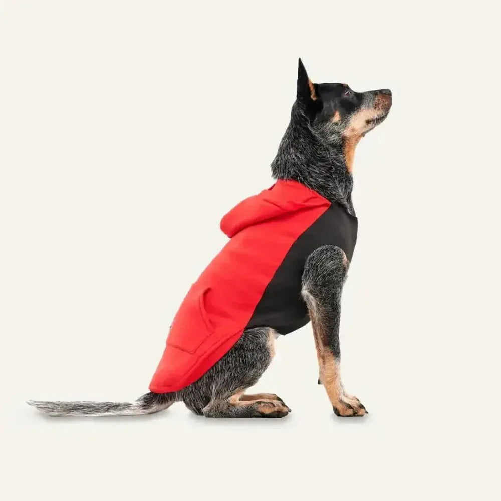 Goo - eez Kangaroo Fleece Dog Hoodie - Talis Us