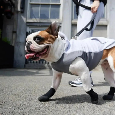 Goo - Eez Lites All Season Dog Boots Black 4pk - Talis Us