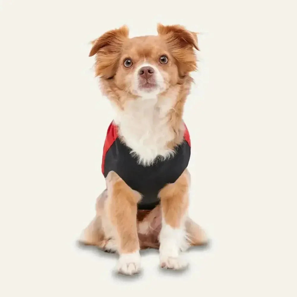 Goo - Eez Mock Neck Signature Dog Jacket - Talis Us
