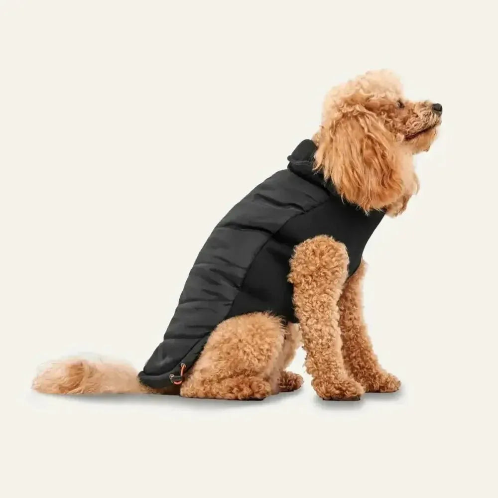 Goo - Eez Mock Neck Signature Dog Jacket - Talis Us
