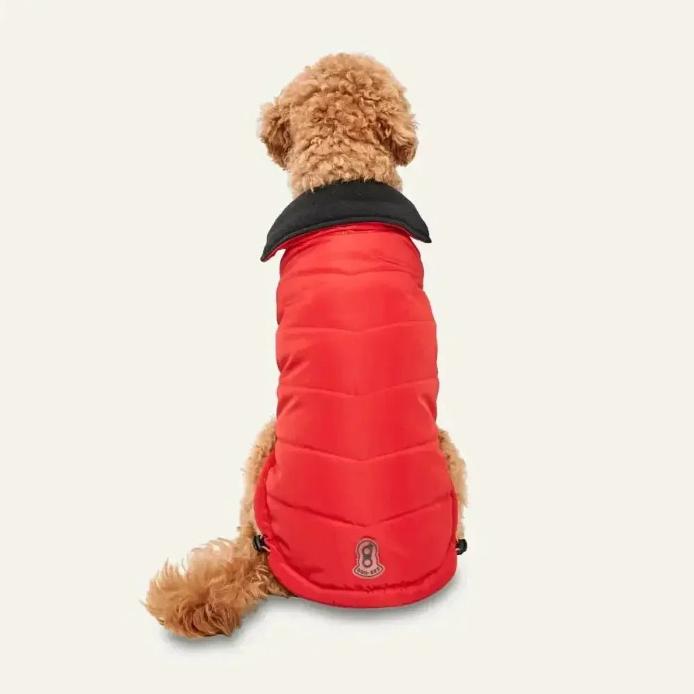 Goo - Eez Mock Neck Signature Dog Jacket - Talis Us