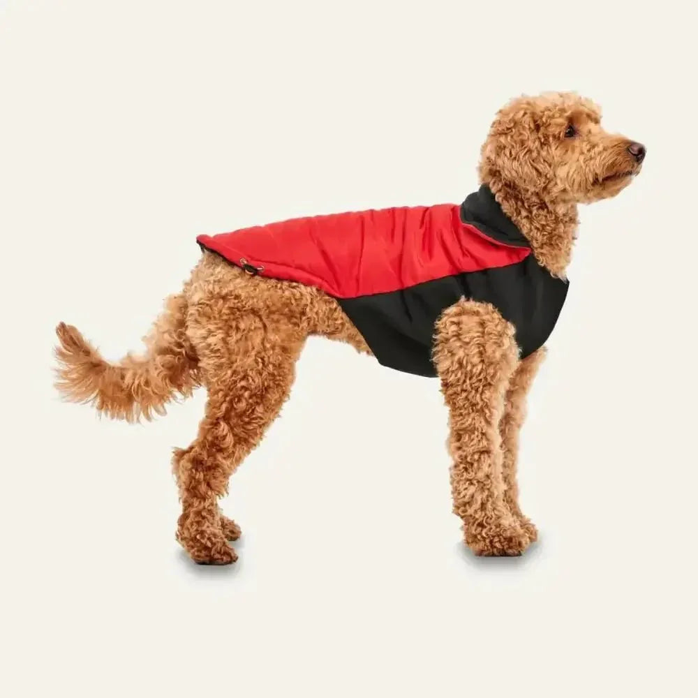 Goo - Eez Mock Neck Signature Dog Jacket - Talis Us