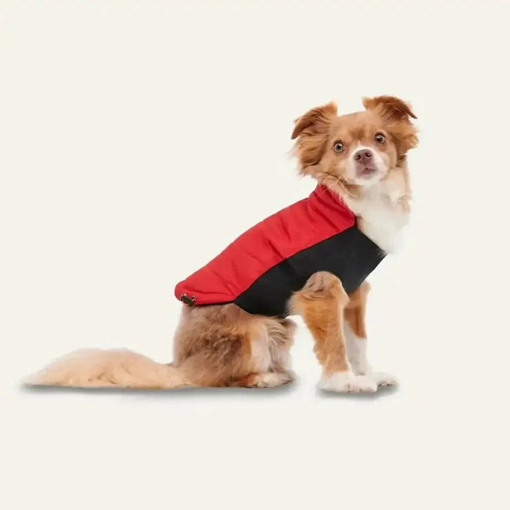 Goo - Eez Mock Neck Signature Dog Jacket - Talis Us