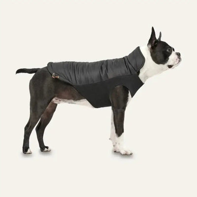 Goo - Eez Mock Neck Signature Dog Jacket - Talis Us