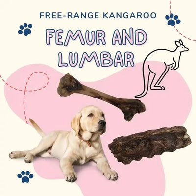 Grain Free Kangaroo Femur and Lumbar Chews for Allergy - Sensitive Pets - Talis Us