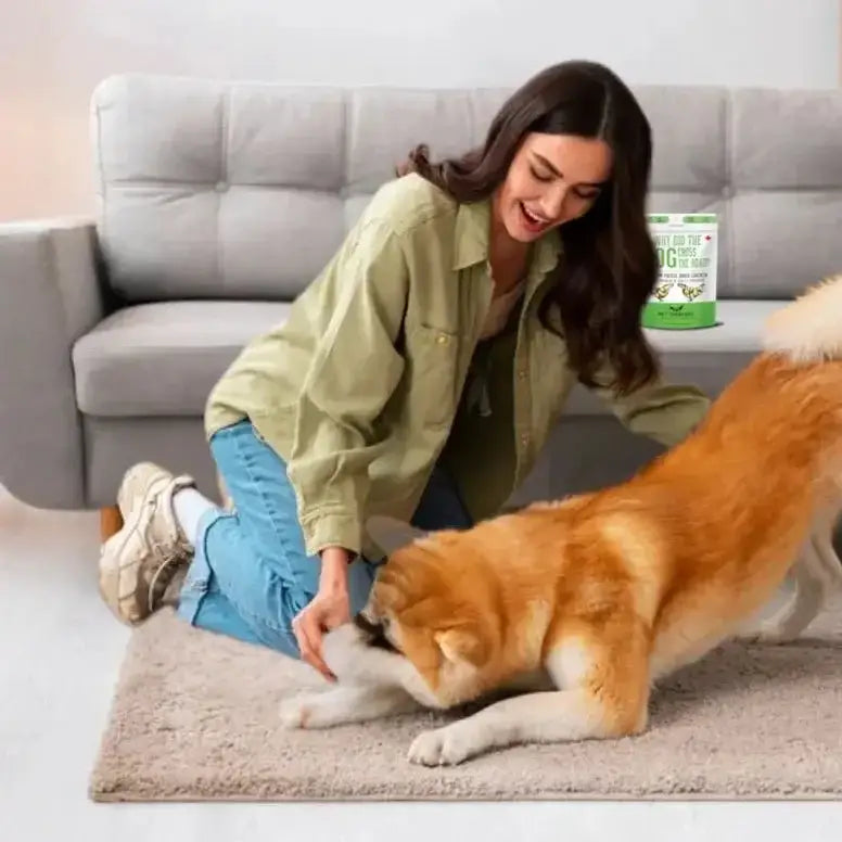 The Granville Island Chicken Freeze - Dried Pet Treats 1.7oz - Talis Us