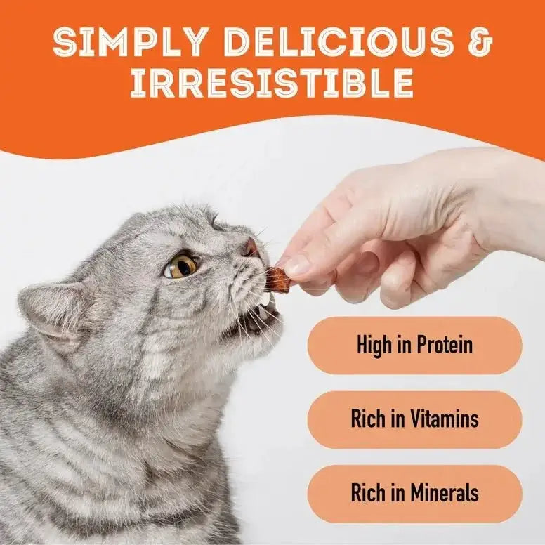 The Granville Island Pumpkin Dehydrated Pet Treat For Dogs & Cats Vegan 2.8 oz - Talis Us