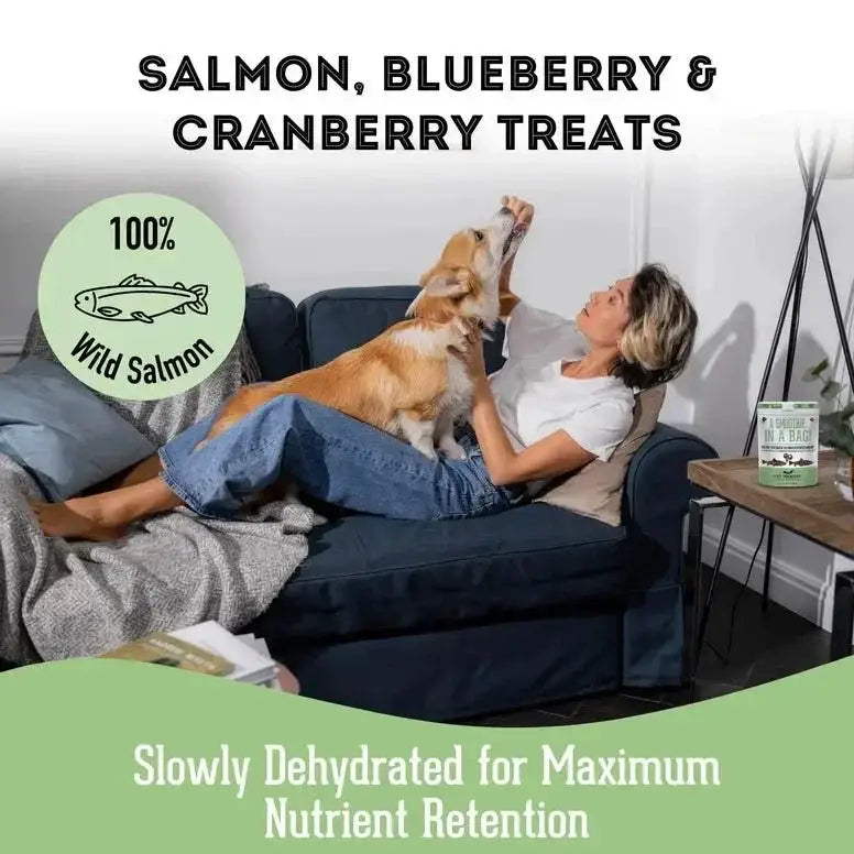 The Granville Island Salmon, Cranberry & Blueberry Dehydrated Pet Treat 2.82 oz - Talis Us