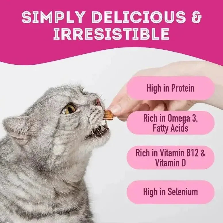 Granville Let's Hook Up Freeze Dried Salmon Dog Treat - Talis Us