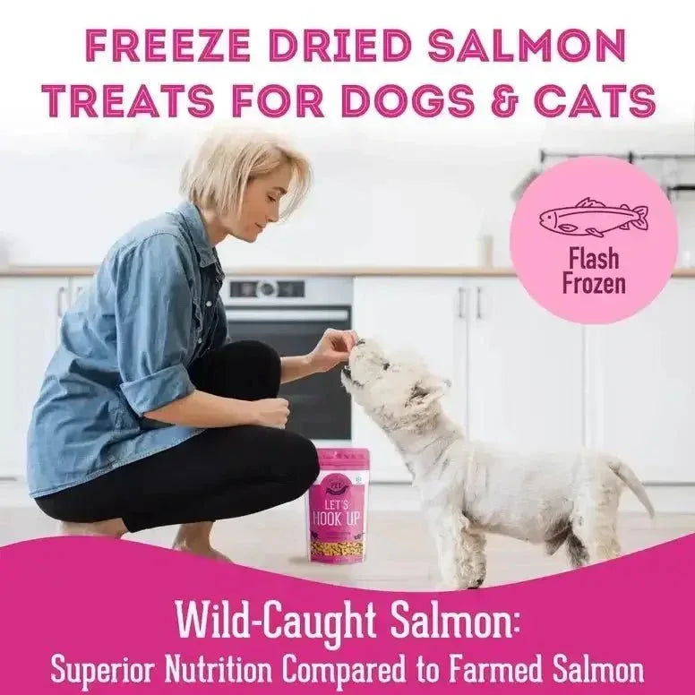 Granville Let's Hook Up Freeze Dried Salmon Dog Treat - Talis Us
