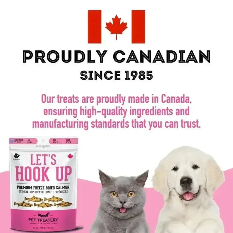 Granville Let's Hook Up Freeze Dried Salmon Dog Treat - Talis Us