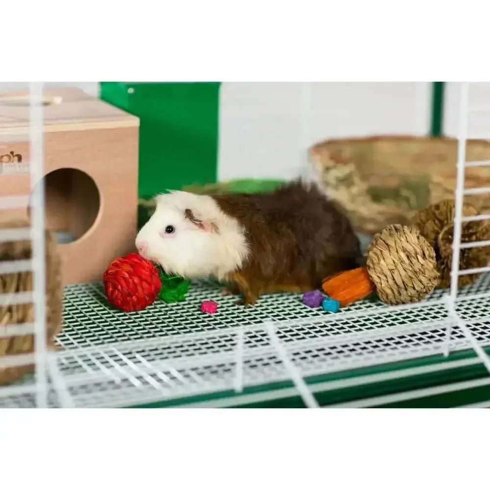 Grassy Nibblers Activity Ball - Talis Us