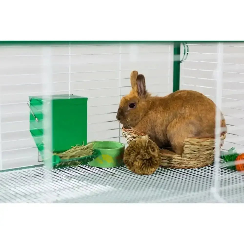 Grassy Nibblers Activity Ball - Talis Us