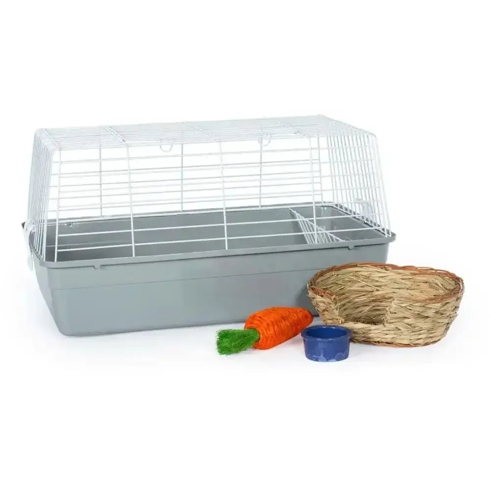 Grassy Nibblers Activity Ball - Talis Us