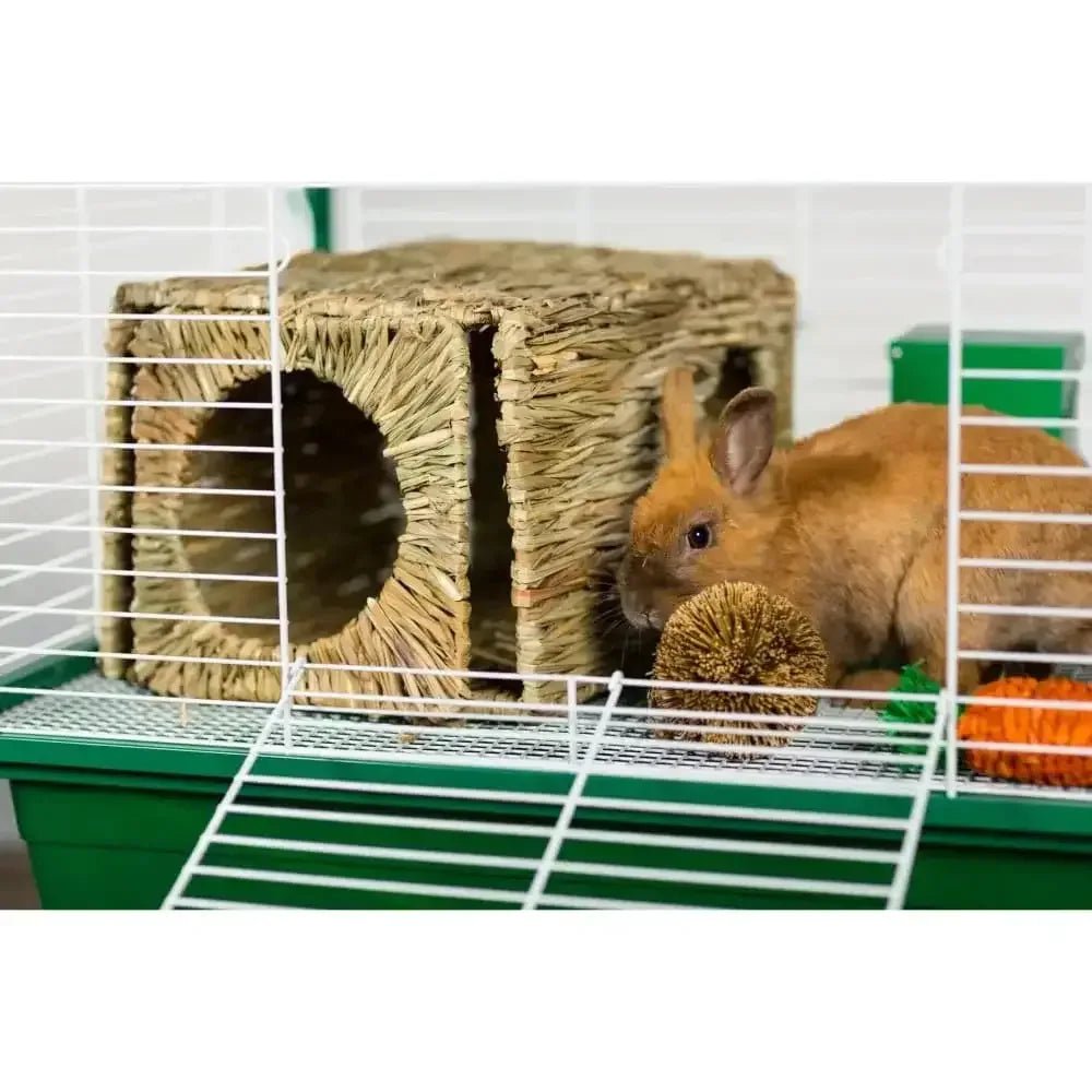 Grassy Nibblers Activity Ball - Talis Us