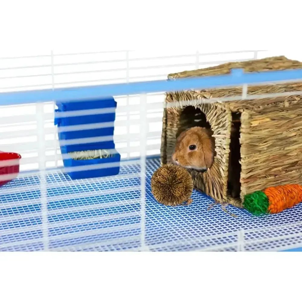 Grassy Nibblers Activity Ball - Talis Us