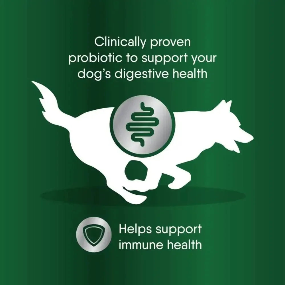 Greenies Digestive Probiotic Clinical Strength Dog Supplement 30 pk - Talis Us