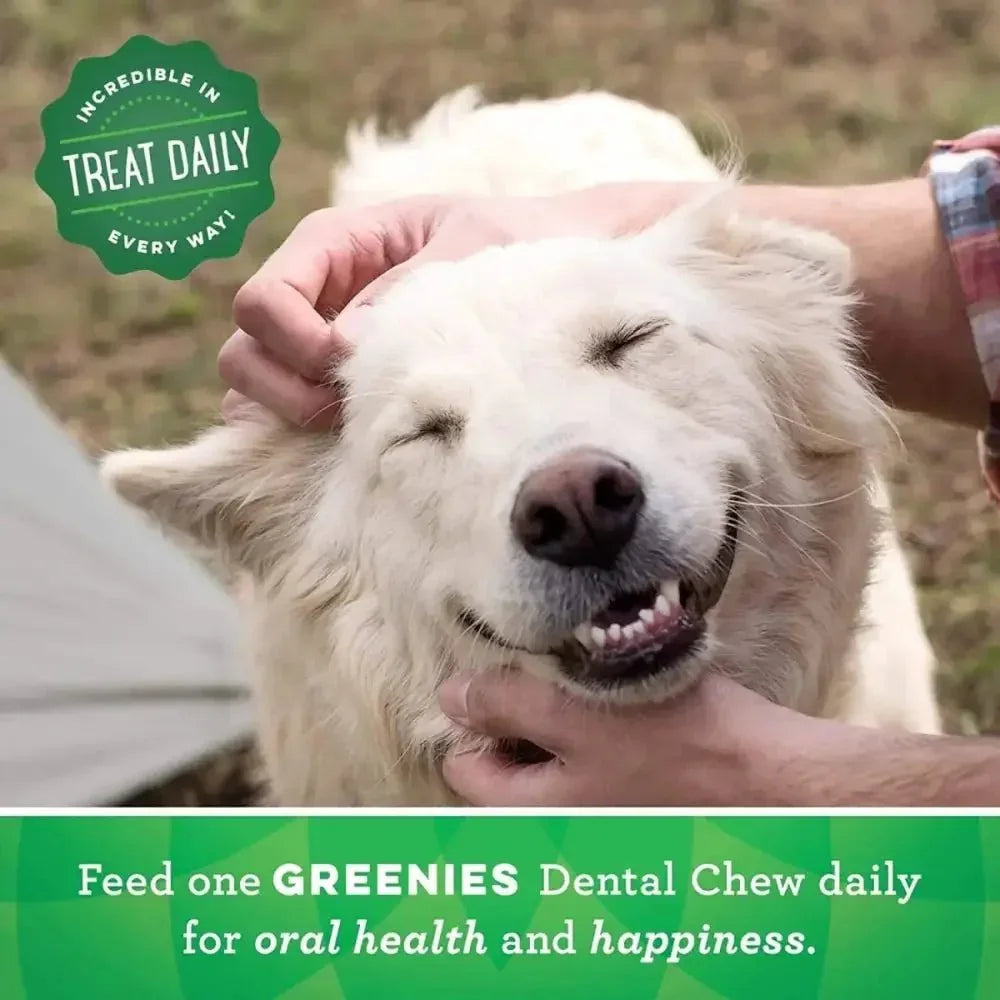 GREENIES Original Natural Dog Dental Care Chews Oral Health Dog Treats - Talis Us