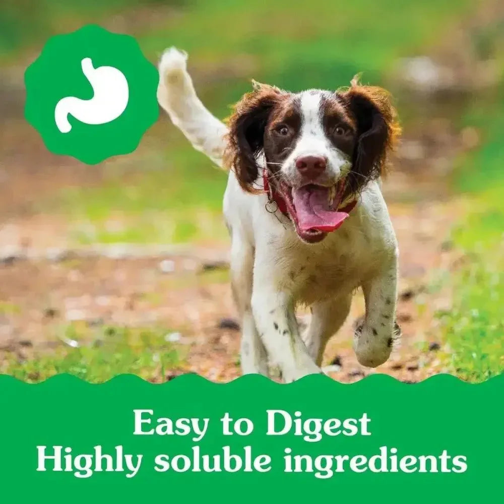 Greenies Puppy 6+ Months Dog Dental Treats - Talis Us