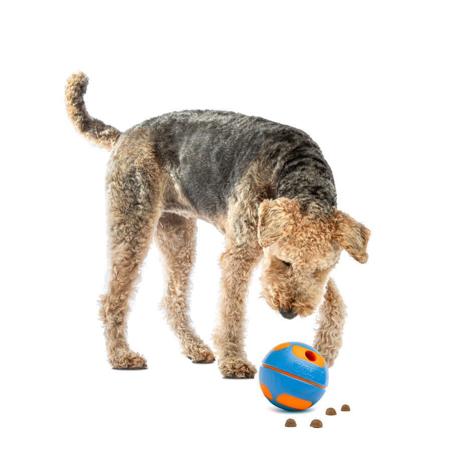 GURU Slow Feeder Dog Toys Blue and Orange Ball for Interactive Play and Feeding Fun