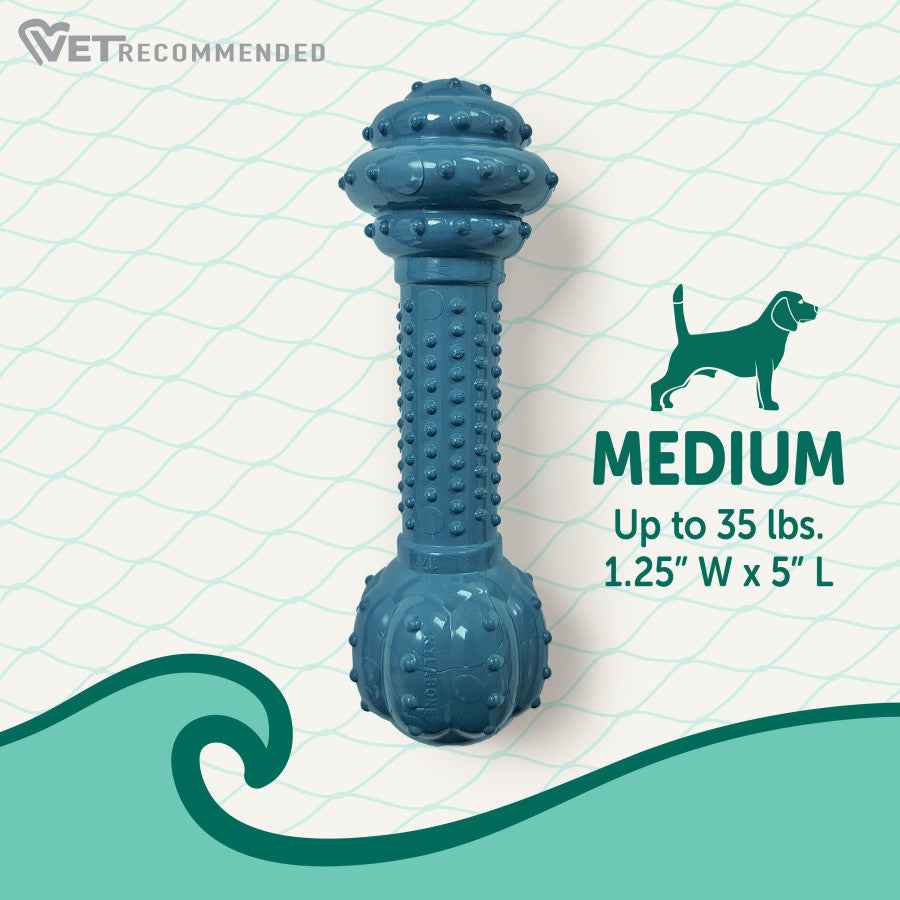 Nylabone Power Chew Love Our Oceans Barbell Dog Chew Toy