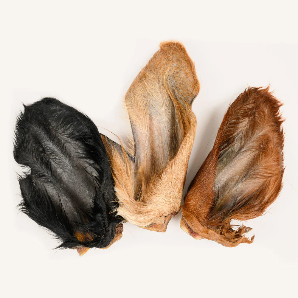 Three large, hairy cow ear dog treats in black, tan, and reddish-brown colors on a white background.