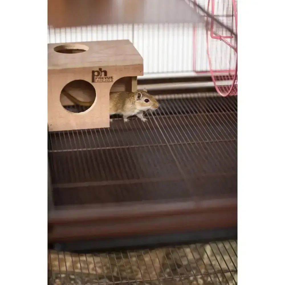 Hamster/Gerbil Hut - Talis Us