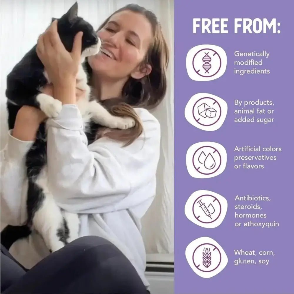 Health Extension Beef & Salmon Grain - Free Wet Cat Food 24 / 2.8 oz - Talis Us