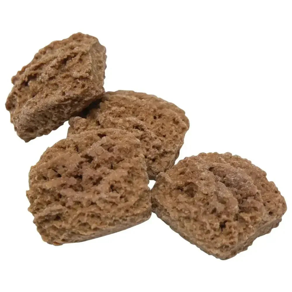 Health Extension Crunchy Munchies Granola Bites - Appley Crisp Dog Treats 8 oz - Talis Us