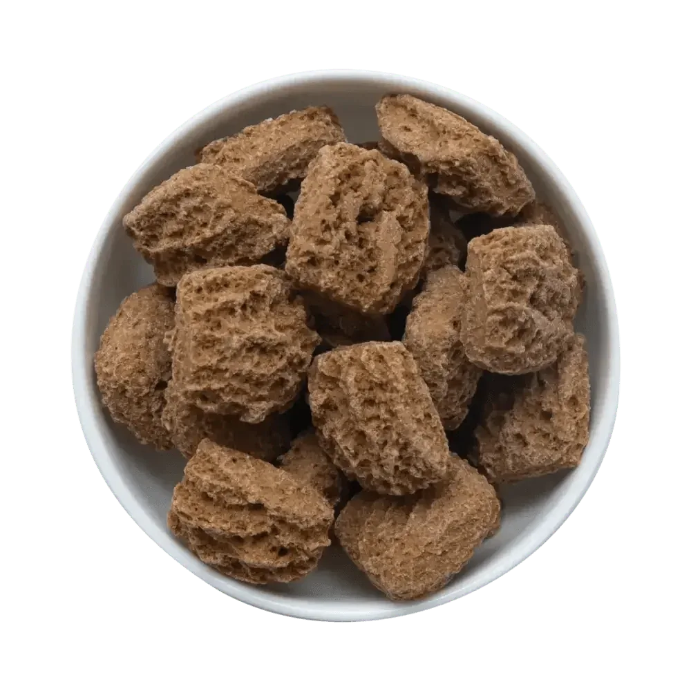 Health Extension Crunchy Munchies Granola Bites - Appley Crisp Dog Treats 8 oz - Talis Us