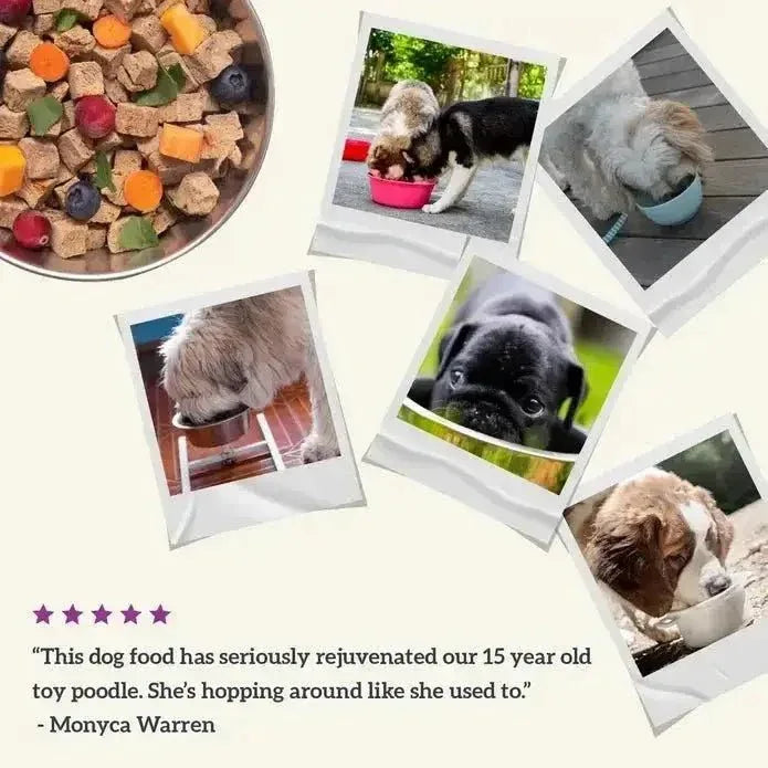 Health Extension Gently Air Dried Chicken Recipe Dog Food 2lb - Talis Us